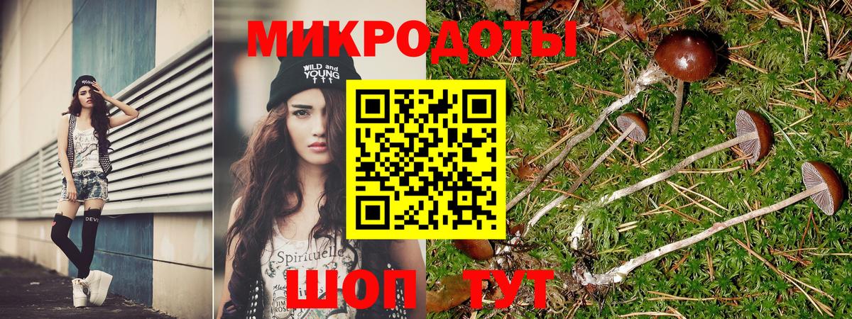 Псилоцибиновые грибы GOLDEN TEACHER  Псилоцибиновые грибы GOLDEN TEACHER  Кириши  Вход с VPN 
